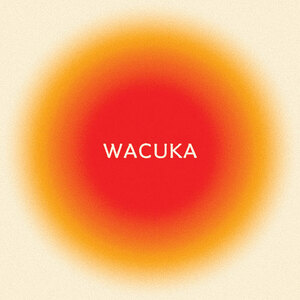 AVAION - Global Fame, New Music & Signature Sound