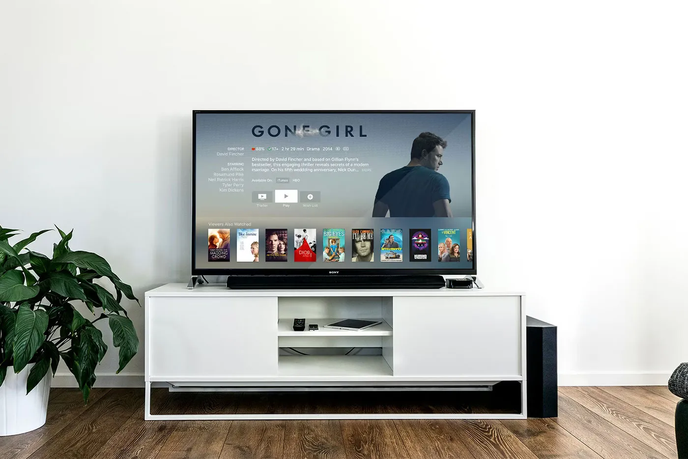 Satire – The Struggle to Survive